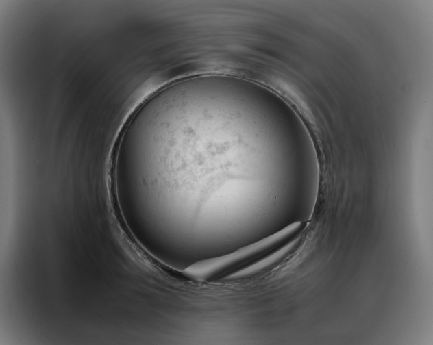 X0000088170899200705221619