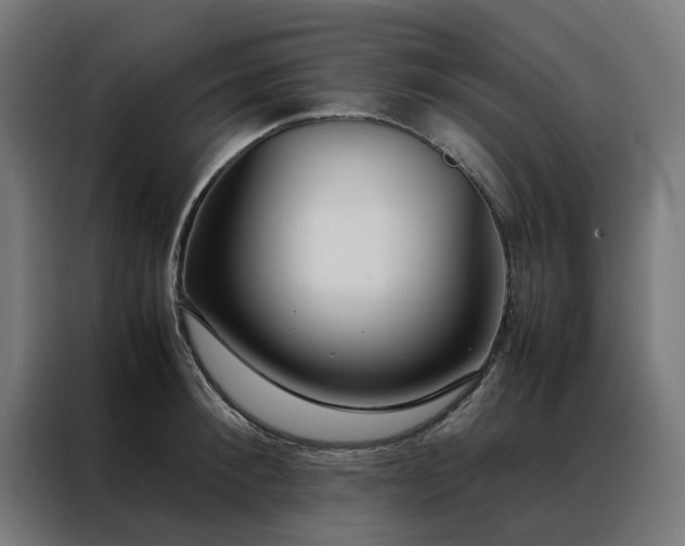 X0000088170900200705221619