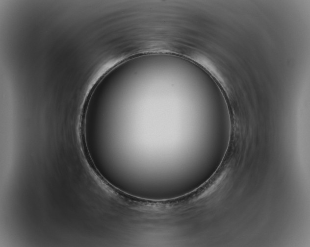 X0000088170901200705221619