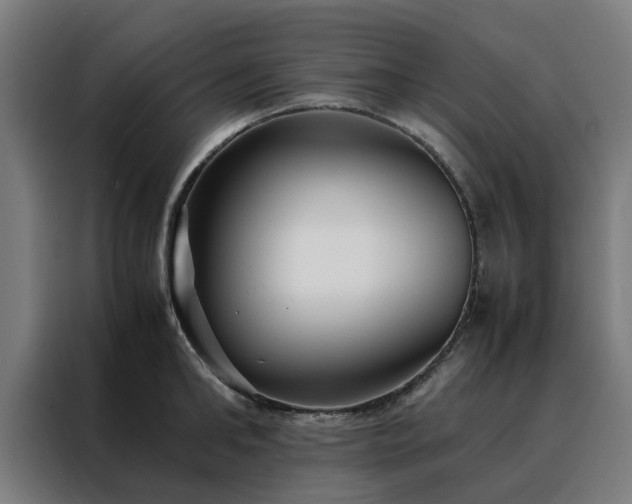 X0000088170902200705221619