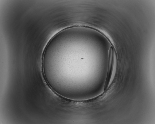 X0000088170903200705221619