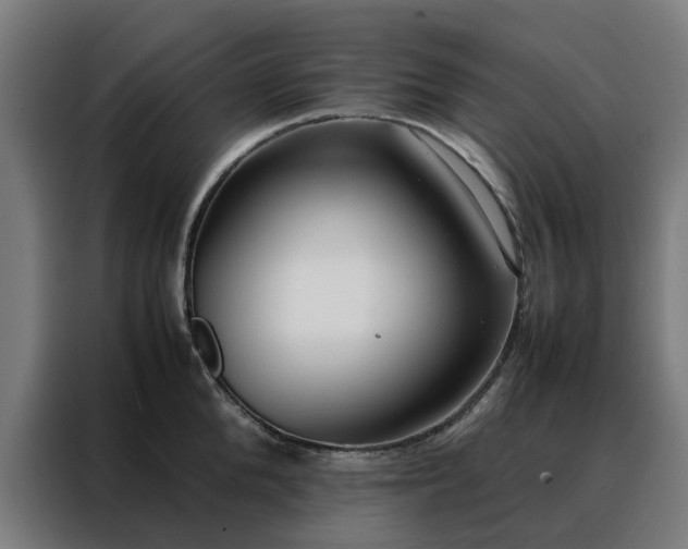 X0000088170904200705221619