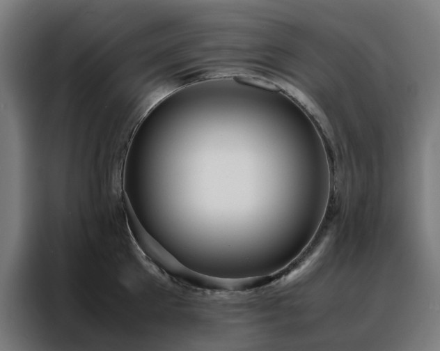 X0000088170905200705221619