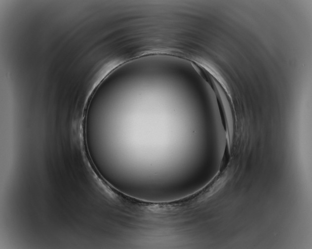 X0000088170906200705221619