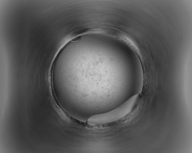 X0000088170907200705221619