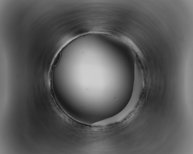 X0000088170908200705221619