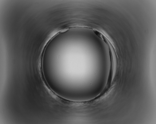 X0000088170909200705221619