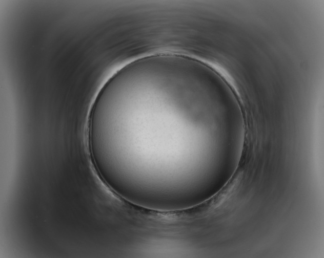 X0000088170911200705221619