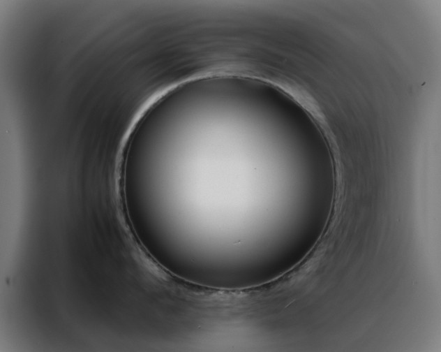 X0000088170912200705221619