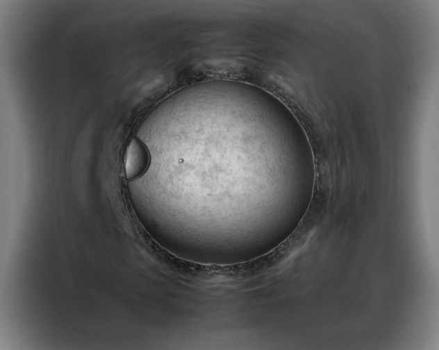 X0000088170913200705221618