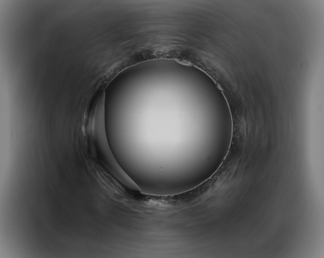 X0000088170914200705221618