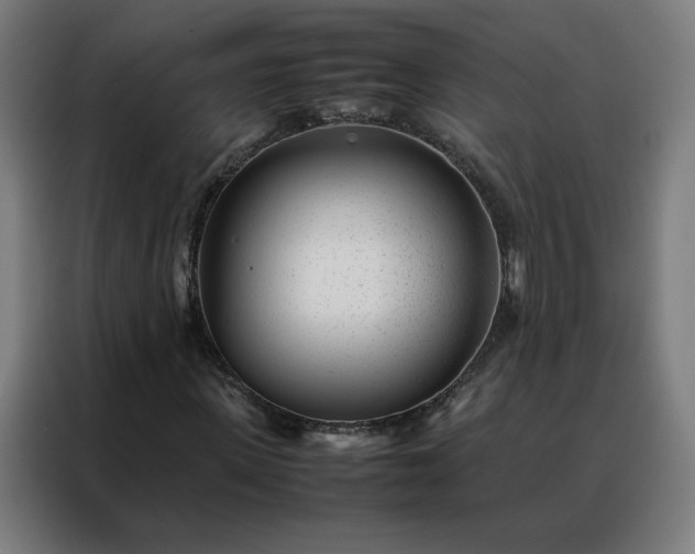 X0000088170915200705221618