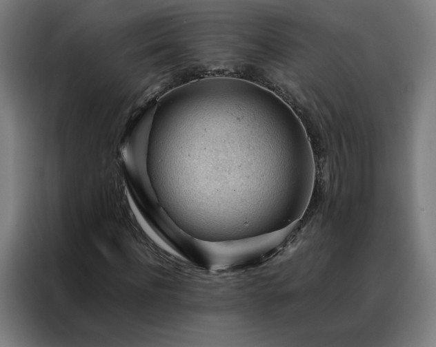 X0000088170916200705221618