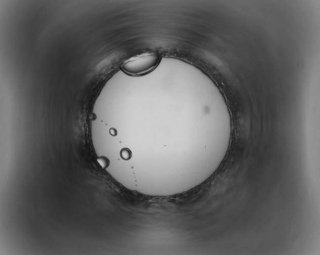 X0000088170918200705221618