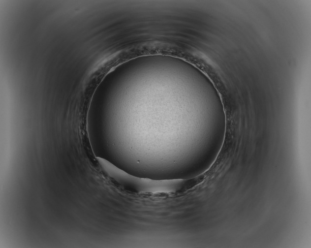 X0000088170919200705221618