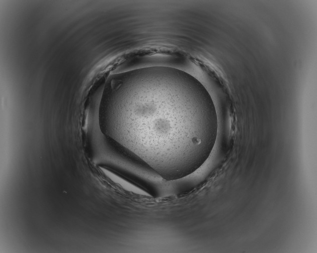 X0000088170920200705221618