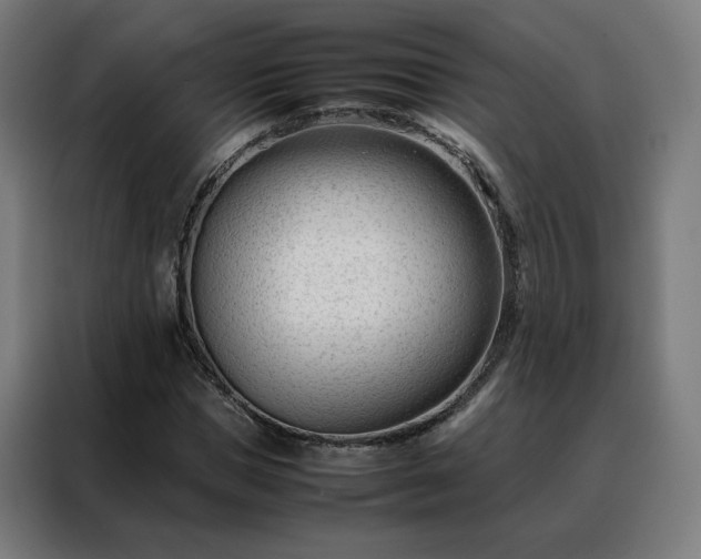 X0000088170921200705221618