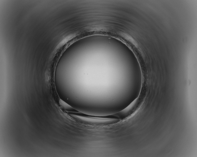 X0000088170922200705221618