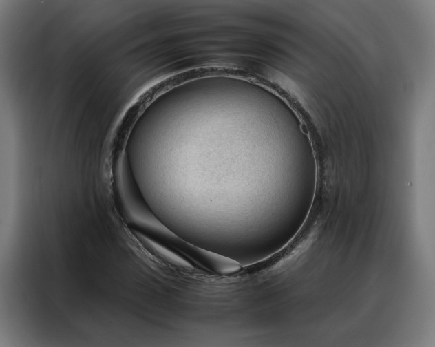 X0000088170923200705221618