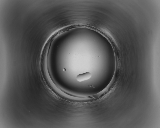 X0000088170924200705221618