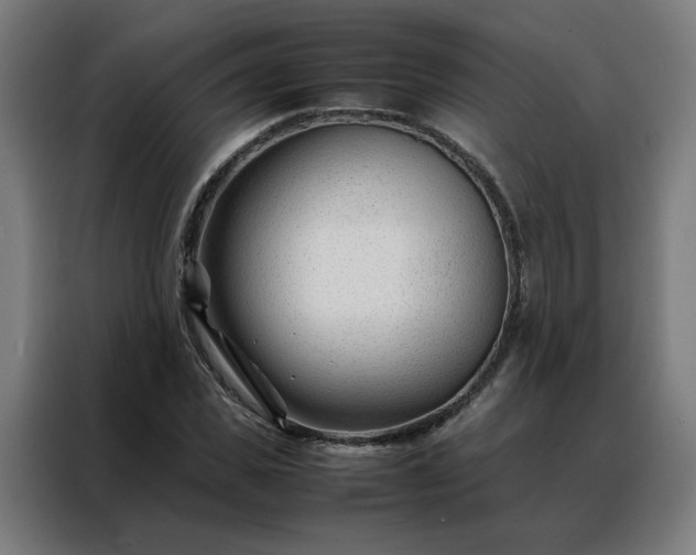 X0000088170925200705221619