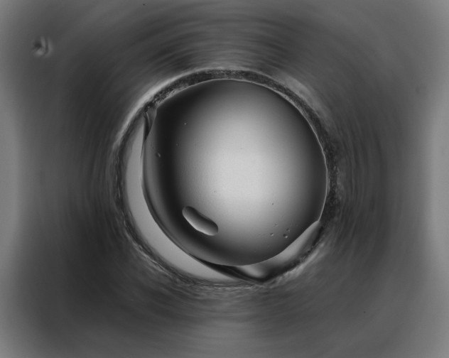 X0000088170926200705221619