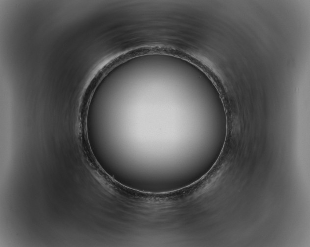 X0000088170927200705221619