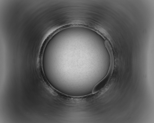 X0000088170928200705221619