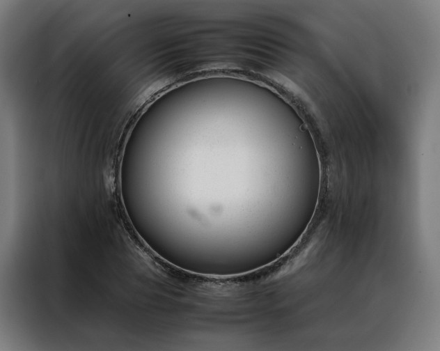 X0000088170929200705221619