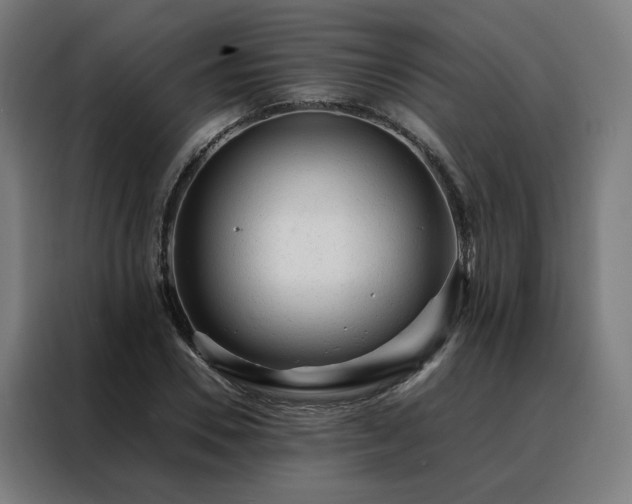 X0000088170930200705221619