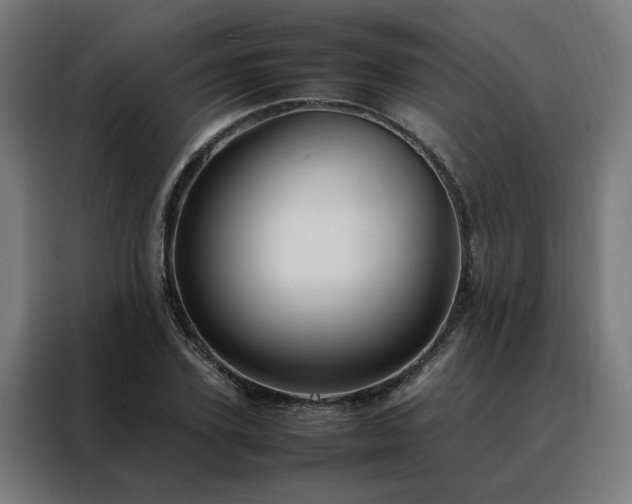 X0000088170931200705221619