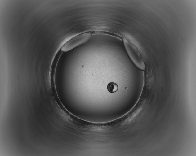 X0000088170932200705221619