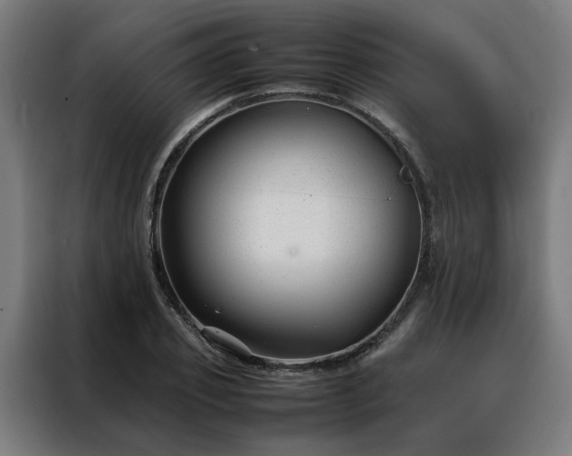 X0000088170933200705221619