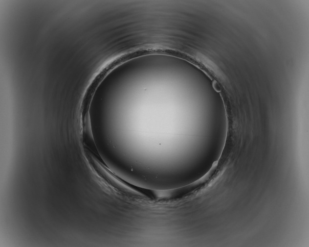 X0000088170934200705221619