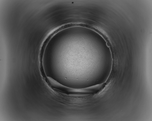 X0000088170935200705221619