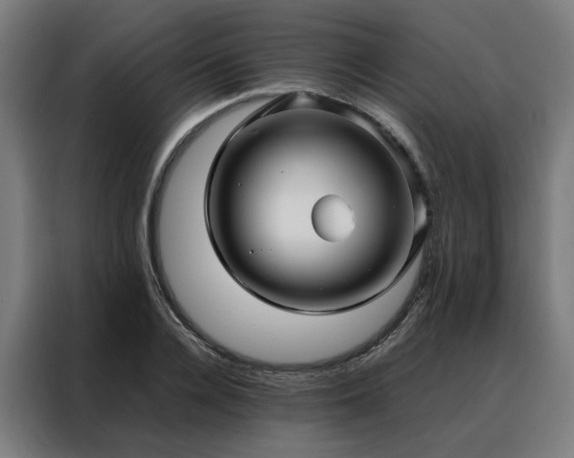 X0000088170936200705221619