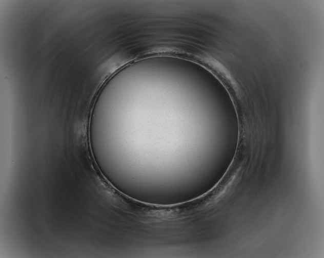 X0000088170937200705221619