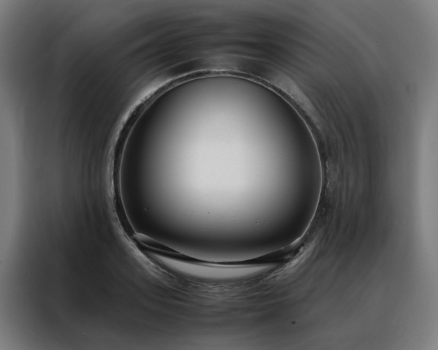 X0000088170939200705221619