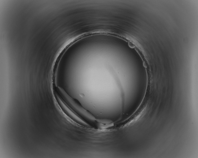 X0000088170941200705221619