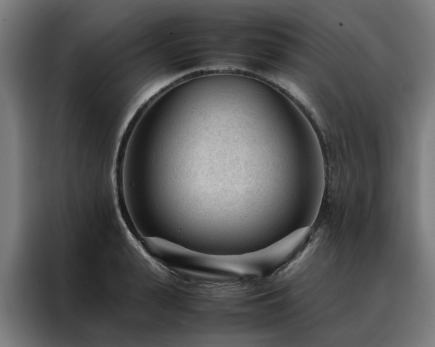 X0000088170943200705221619