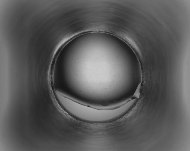 X0000088170944200705221619