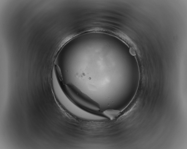 X0000088170945200705221619