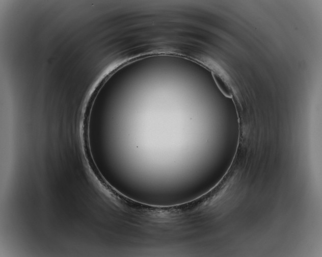 X0000088170947200705221619