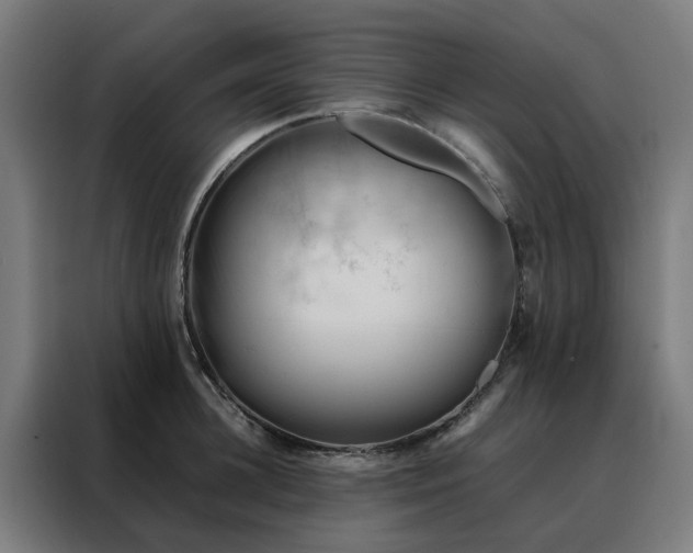 X0000088170948200705221619