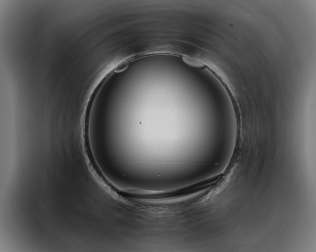 X0000088170949200705221619