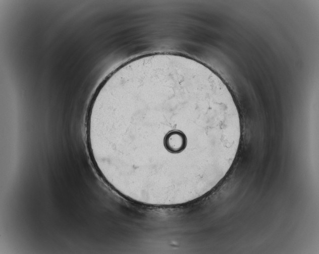 X0000088170950200705221619