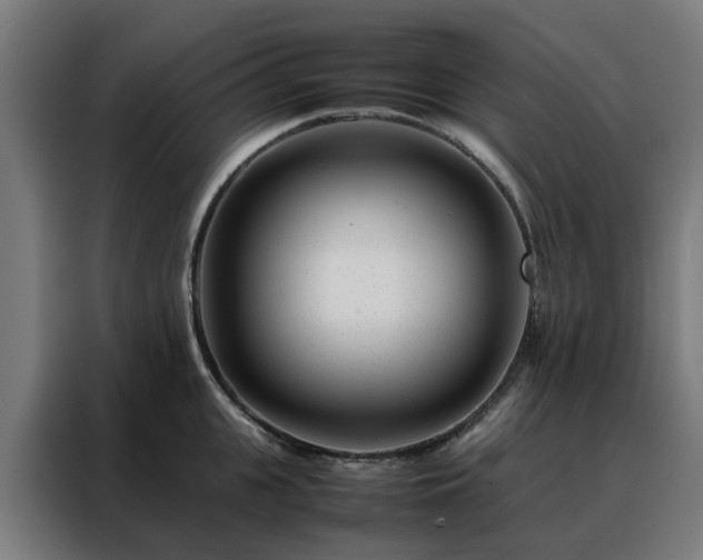 X0000088170951200705221619