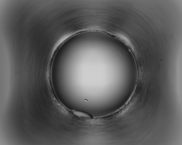 X0000088170952200705221619