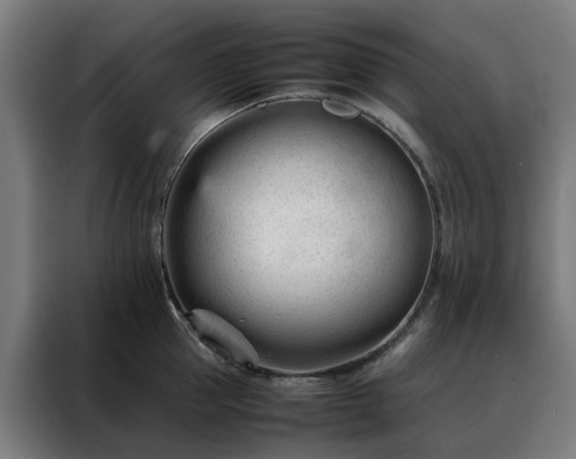 X0000088170953200705221619