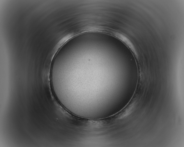 X0000088170954200705221619